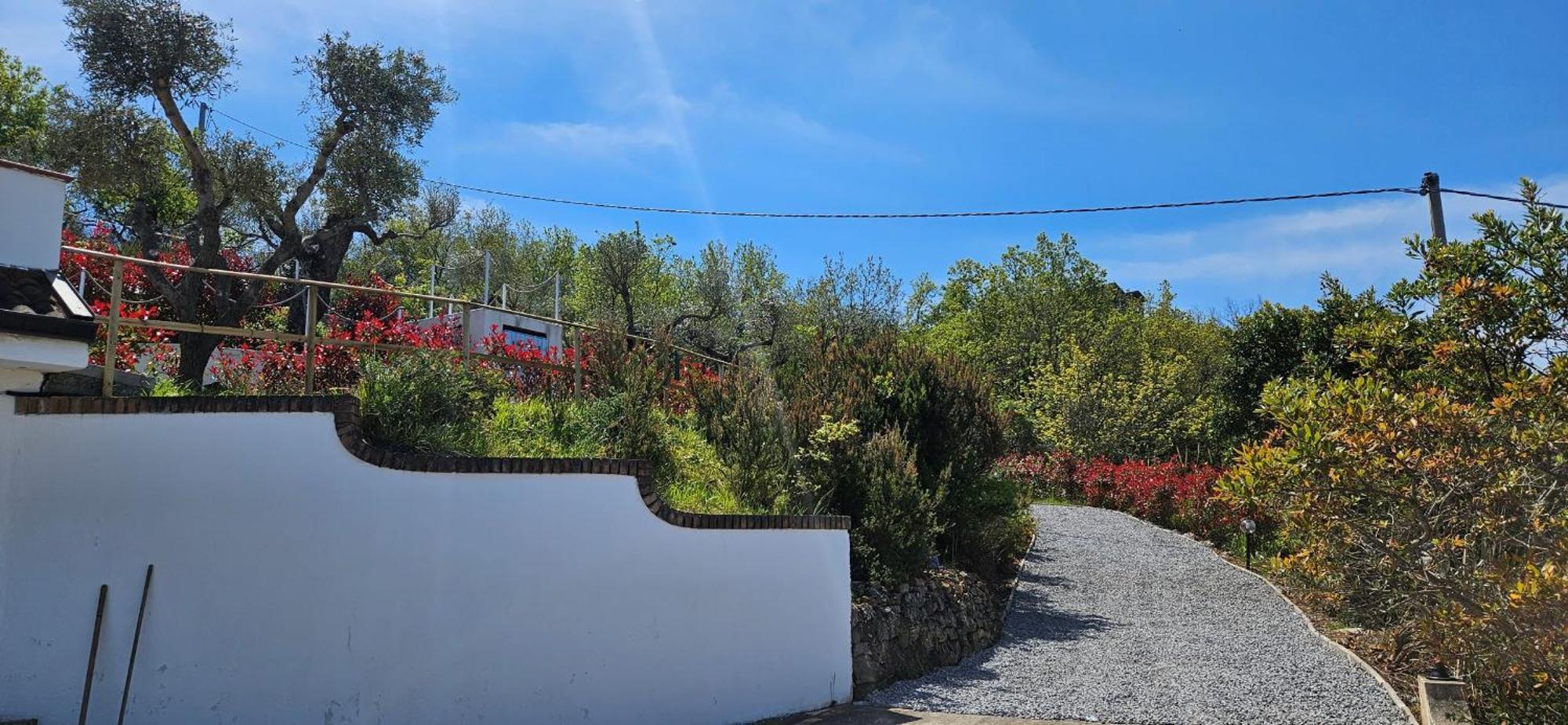 ויבו ולנטיה Villa Kiru מראה חיצוני תמונה